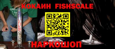 крисы Кингисепп
