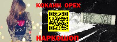 крисы Кингисепп