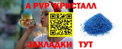 крисы Кингисепп
