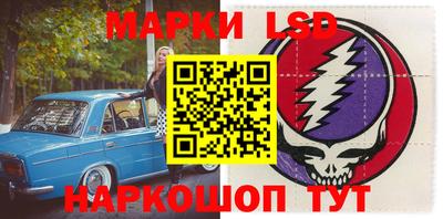 крисы Кингисепп