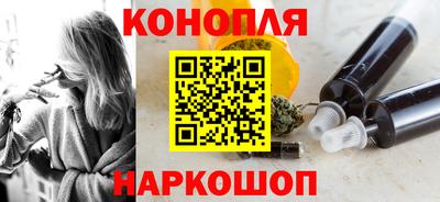 крисы Кингисепп