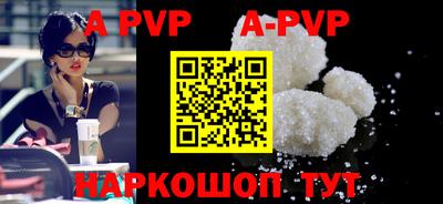крисы Кингисепп