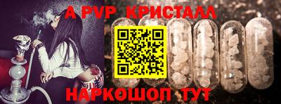 крисы Кингисепп