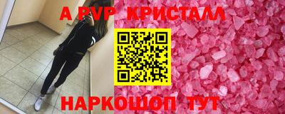 крисы Кингисепп
