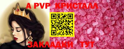 крисы Кингисепп