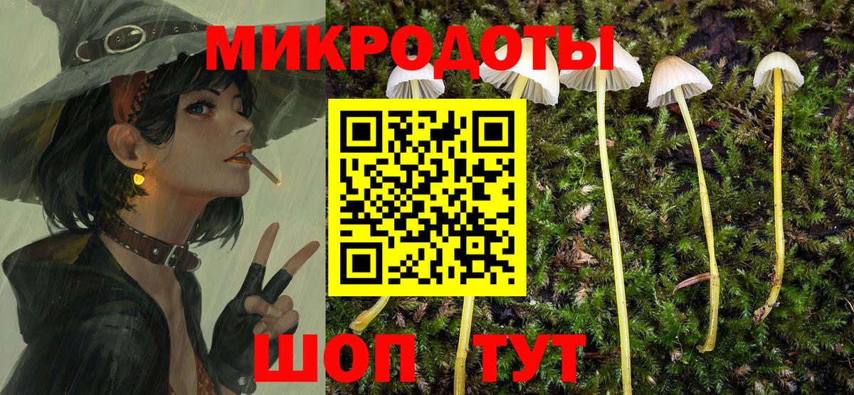 Краснокаменск  Псилоцибиновые грибы мухоморы  Вход с VPN 